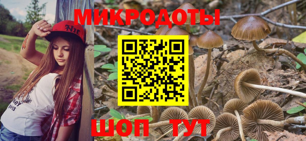 Кудрово  Псилоцибиновые грибы прущие грибы  Вход с VPN  Псилоцибиновые грибы Magic Shrooms 